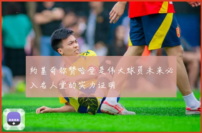 约基奇称赞哈登是伟大球员未来必入名人堂的实力证明